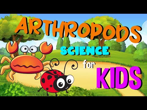 Arthropods | Science for Kids