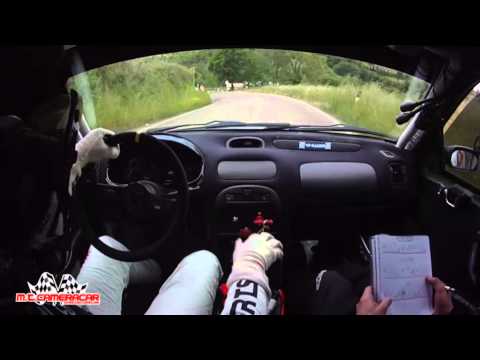 Rally Casciana Terme 2014  Pardini - Moriconi  Rover 214 N/1