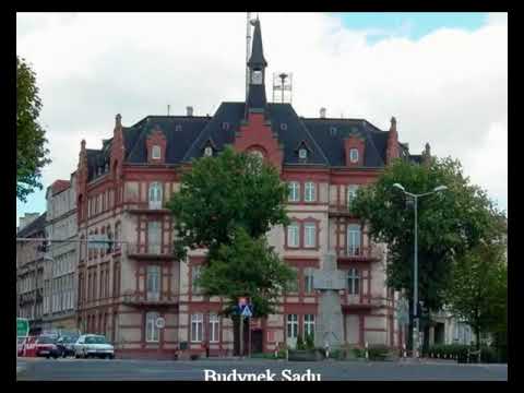 MOJE MIASTO ZGORZELEC