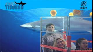 DIA 3 Expo Tiburon92