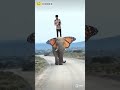 Hathi Raja Kahan Chale Sunil Aakar Kahan Chale Mere Ghar Per Aao Na