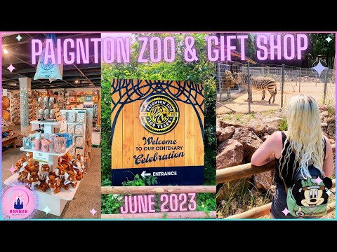 Paignton Zoo Vlog & Gift Shop Tour 100 Year Anniversary Merch Lion June 2023 Devon Torbay Review 🦓