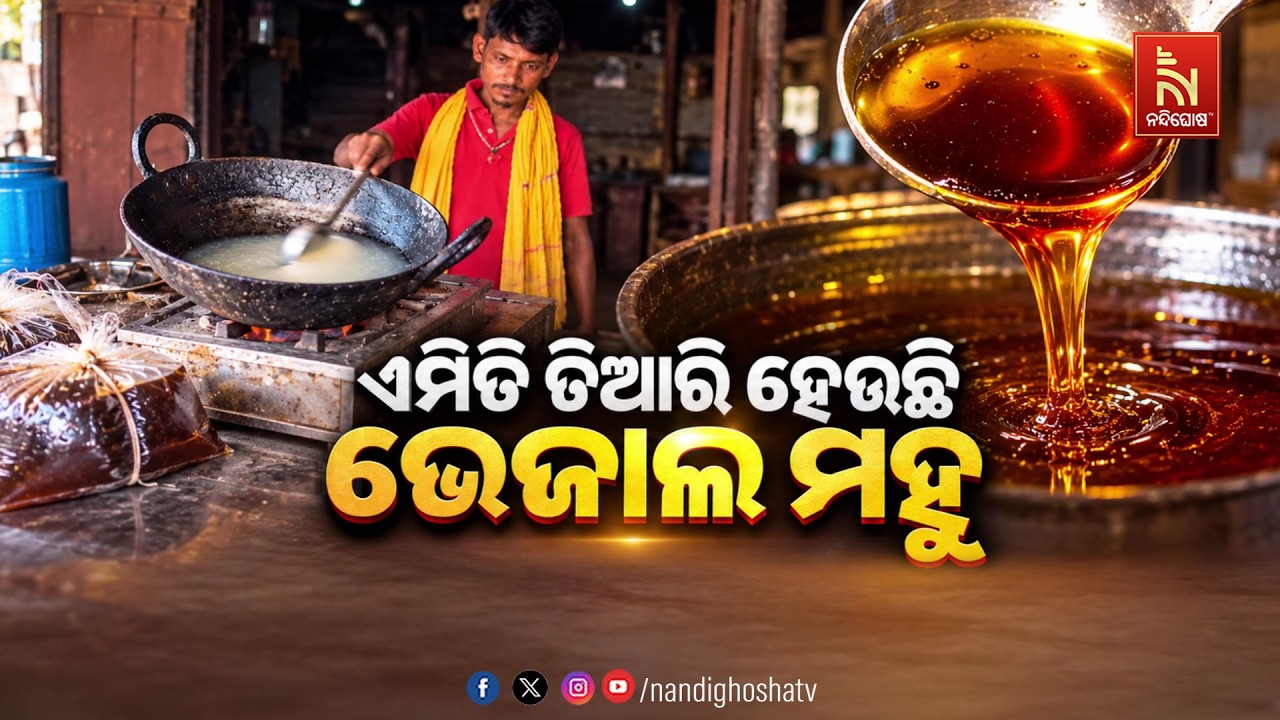 🔴Live | ଏମିତି ତିଆରି ହେଉଛି ଭେଜାଲ ମହୁ! | Nandighosha TV