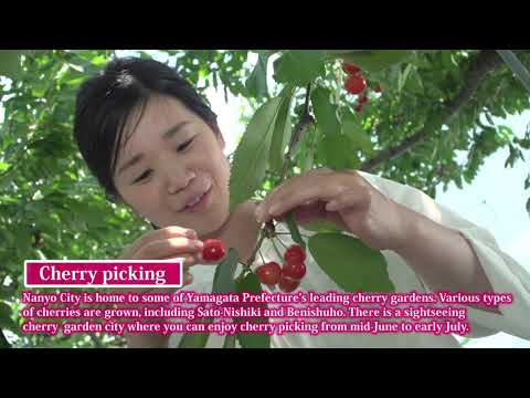 The four seasons of Nanyo – Spring and Summer version