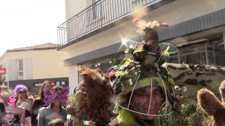preview picture of video 'Le Carnaval de St Pierre d'Oléron 2014'