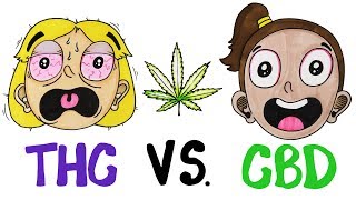 THC vs CBD: What&#39;s In Your Weed?