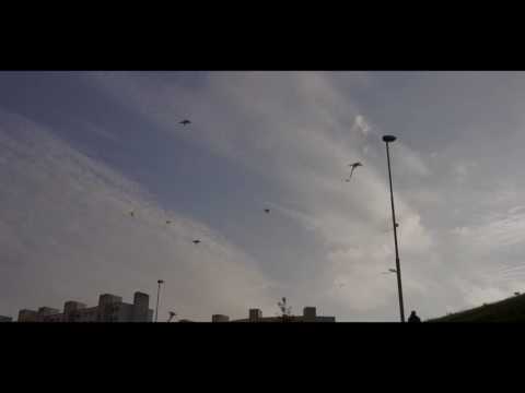 Šarkany / Dragon / Kite