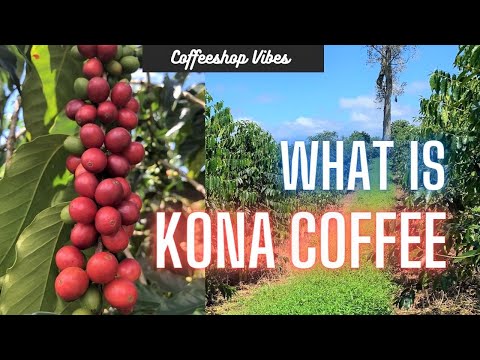 O que é Café Kona?