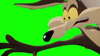 Wile E. Coyote's near miss — Coyote vs Acme green screen