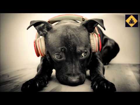 Neelix - Ask the Right Questions (dirty loud remix)