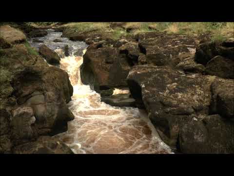 The Strid, Bolton Abbey, Yorkshire Dales National Park, England
