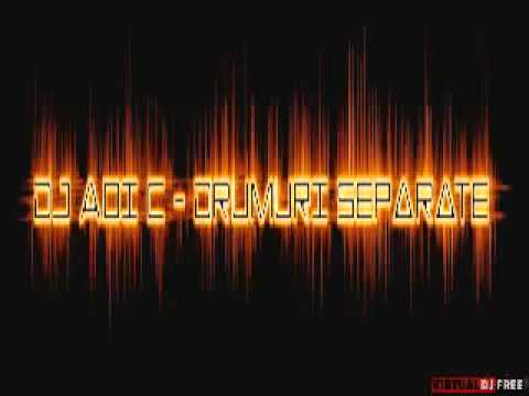 DJ Adi C - Drumuri Separate