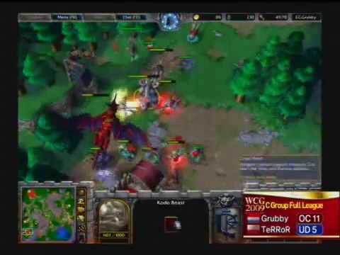 WCG 2009 EG.Grubby vs TeRRoR 2of2 [ENG]