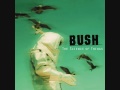 Bush   The Science of Things   The Chemicals Between Us, Altered States