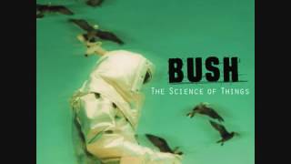 Bush   The Science of Things   The Chemicals Between Us, Altered States