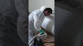 How to prevent bedbugs — and get rid of them
