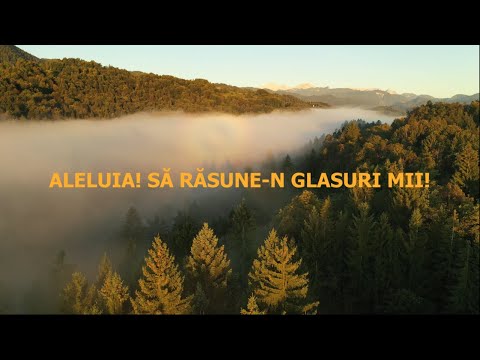 Aleluia, să răsune-n glasuri mii