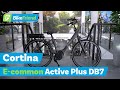 Cortina E-Common Active Plus DB7 Belt 2025