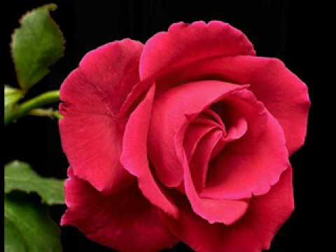 Peter Pears sings two songs by Frank Bridge