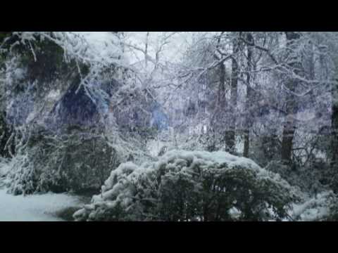 Amadeus - Winter dream