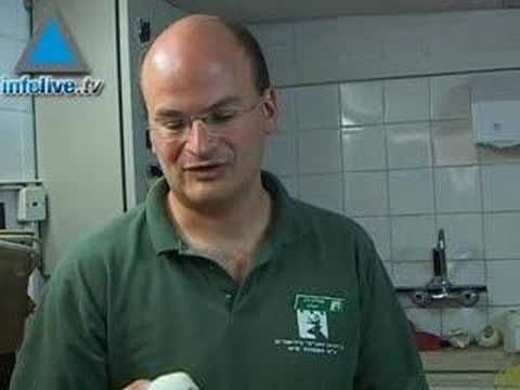 Save Israel's Birds of Prey