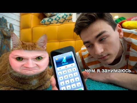 общаюсь с котом через кошачий переводчик ► РЕАКЦИЯ на TheBrianMaps