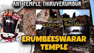 Temple video