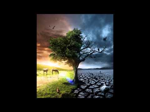 Mind Oscillation vs Zik -  Your Brain On Music