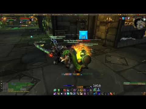 Restoration Druid healing Scholomance.