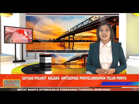 Antisipasi Maraknya Penyelundupan Telur Penyu, Satgas Polhut Kalbar akan Koordinasi dengan BKSDA Riau