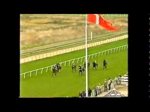 Jockey Bettina Wilson