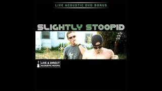 Slightly Stoopid - Wiseman(Acoustic)