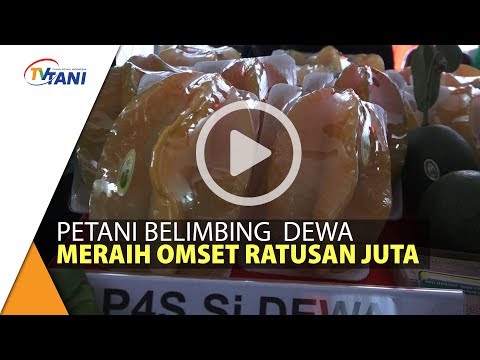 download lagu mp3 mp4 Belimbing Dewa, download lagu Belimbing Dewa gratis, unduh video klip Belimbing Dewa