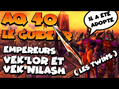 WOW classic - AQ 40 - GUIDE FR - Empereurs Empereur Vek'lor et Vek'nilash (Twins) + trash