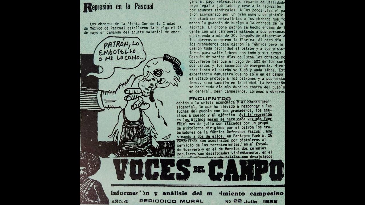 Frutas Kamikazes sin intermediarios