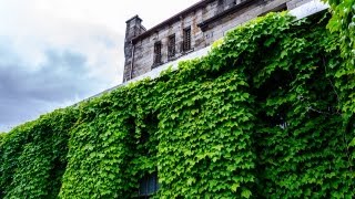 preview picture of video 'Haunted Prison ; Eastern State Penitentiary - Part One - Philadelphia Pennsylvania'