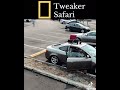 Tweaker safari 🤣🤣