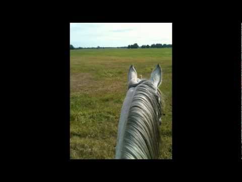 Ausritt über die Felder