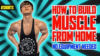 How To Build Muscle From Home | No Equipment Needed