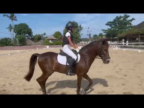 Rubi on Apollo May 2022 children preliminary German test