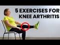 The ONLY 5 Exercises You Need For Knee Pain Ages 60