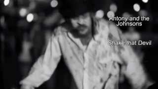 EPHEMEROPTERA ● Shake that Devil - Antony and the Johnsons