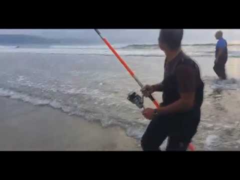 Fishing Dorada XL - Pesca Asturias Dorada