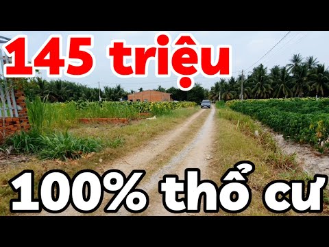 Đất rẻ 145 triệu 5x30 100% thổ cư sổ hồng riêng đường ô tô ở Hảo Đước Tây Ninh cách TPHCM 100km