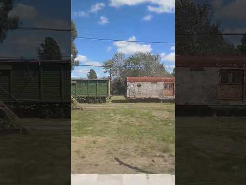 estación General Guido, desde el tren#shorts