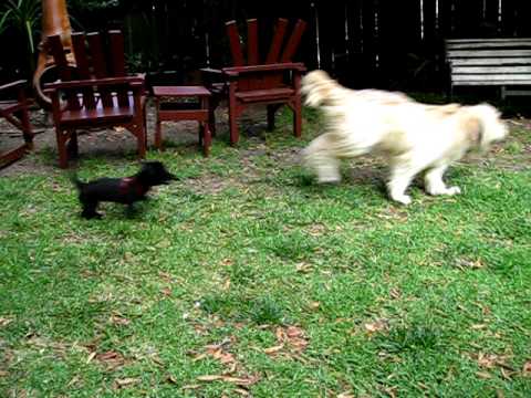 {$row[$i]['name'], ENT_QUOTES,'utf-8'); ?>