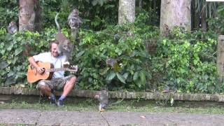 Leo Aberer - Walking and Talking (Radio Edit)