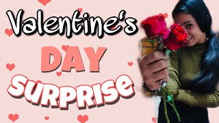 Valentine Day Surprise | Long Distance Love | Shubnandu | VLOG 2 | Surprise for Boyfriend #surprise