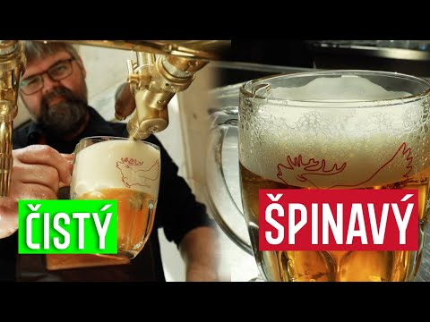 Jak poznáte špinavý půllitr? Dávaj si řezaný jen turisti? Škola čepování s Mírou