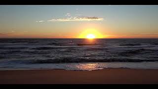 Steve Forte Rio - A New Dawn (Virtual Vault Remix) [Video Edit]